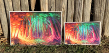 Load image into Gallery viewer, &quot;Forest of Illume&quot;, Print
