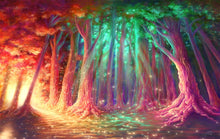 Load image into Gallery viewer, &quot;Forest of Illume&quot;, Print
